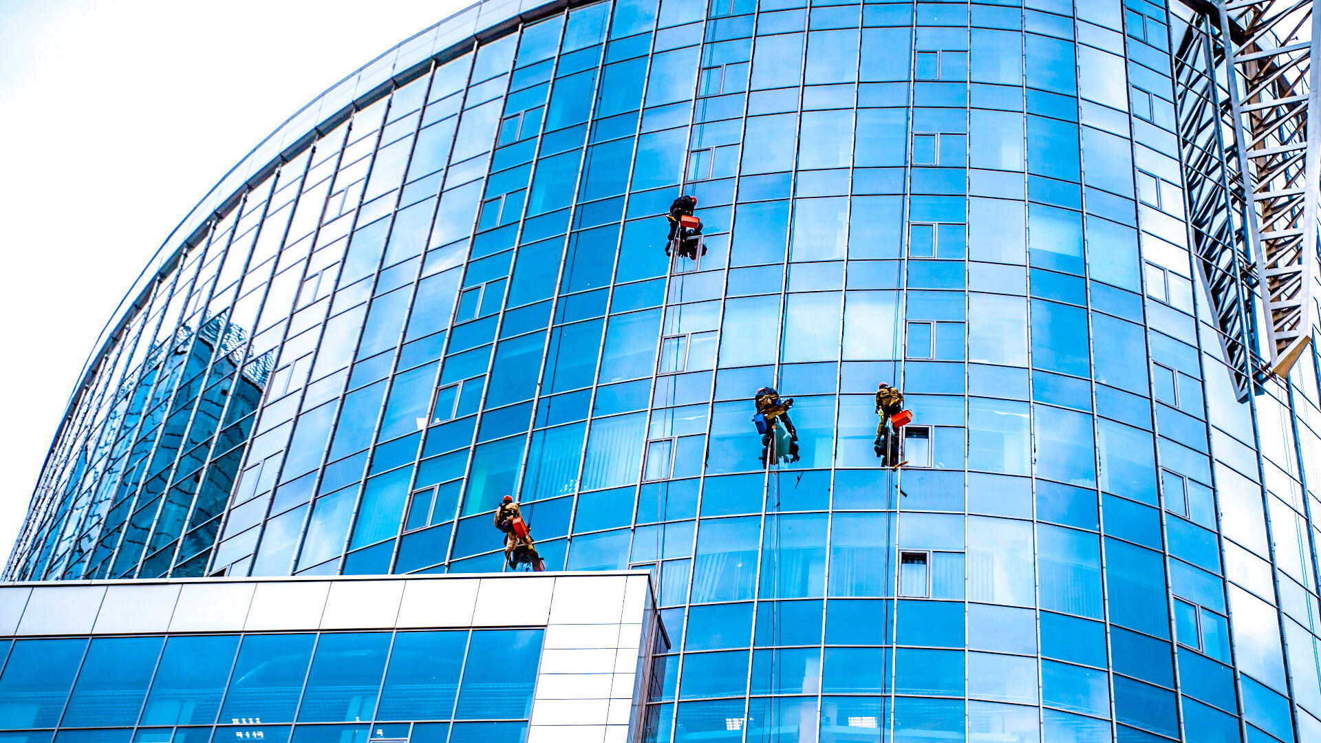 Cleaners rappelling down the side of a building